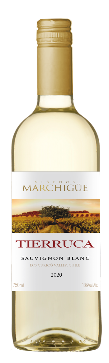 MARCHIG&#220;E TIERRUCA SAUVIGNON BLANC