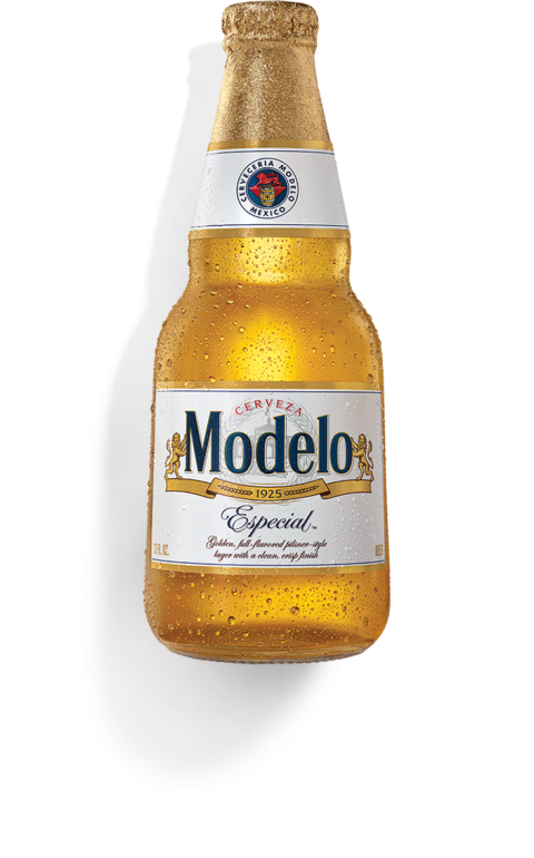 MODELO ESPECIAL