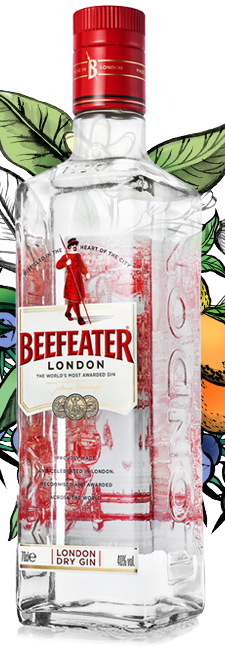 BEEFEATER LONDON DRY GIN