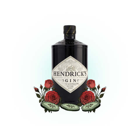 HENDRICK&#39;S GIN