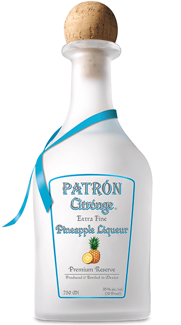 PATR&#211;N CITRONGE PINEAPPLE