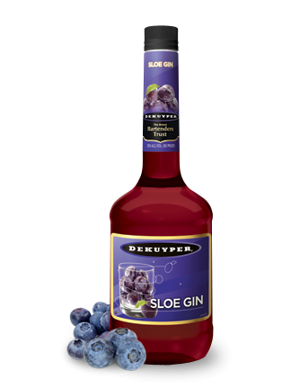 DEKUYPER SLOE GIN