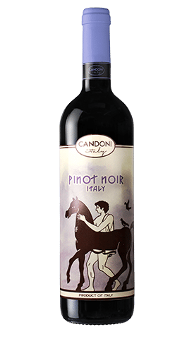 CANDONI PINOT NOIR