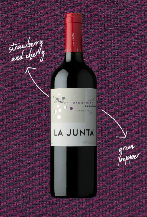 LA JUNTA AMIGO PERRO CARM&#201;N&#200;RE