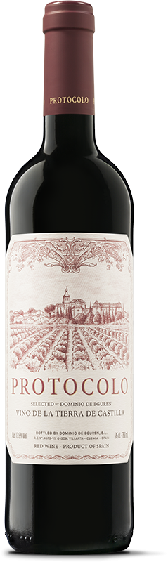 SIERRA CANTABRIA DOMINIO DE EGUREN - PROTOCOLO TINTO